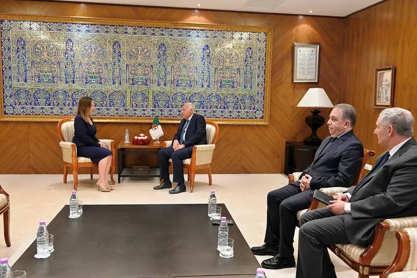 السيد عطاف يستقبل السفيرة الجديدة لدولة البوسنة و الهرسك لدى الجزائر