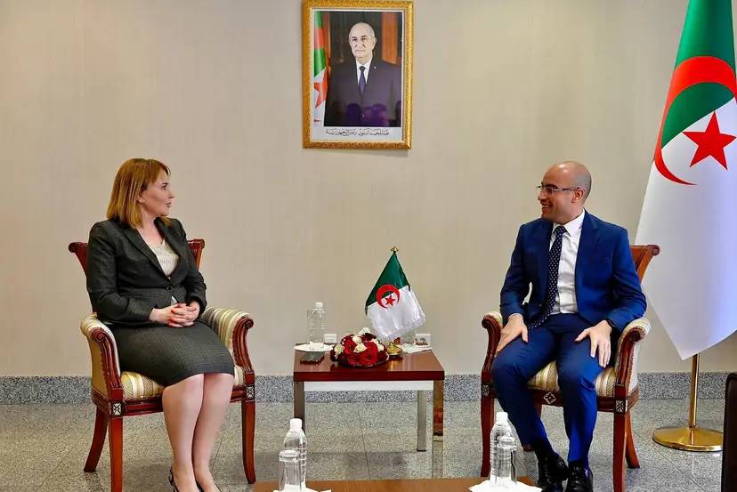 Mr Chaib , Mrs Hamlaoui discuss role of national diaspora’s associations in strengthening ties to homeland