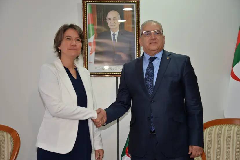 5th session of Algerian-Belgian political consultations held